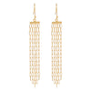 Long Link Chain Earrings